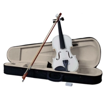 4/4 Acoustic Violin Cas..