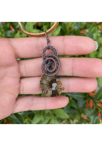left brain ammonite