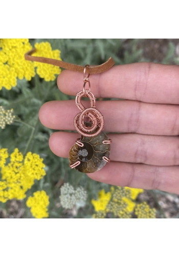 right brain ammonite