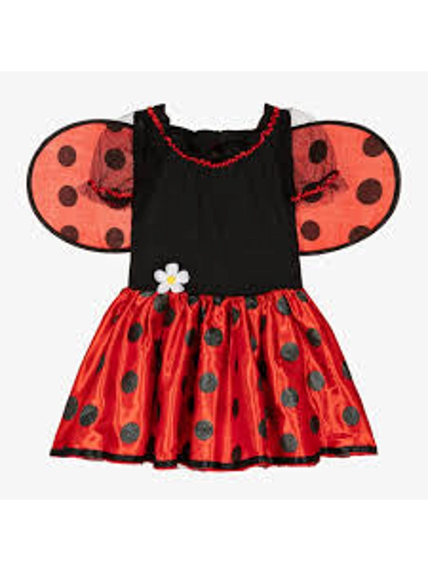 Hook Day Lady Bug Dress (06-07yr)