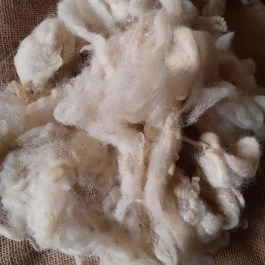 needle felting kit, gnome needle felting kit, autumn needle felting kit, gift kit,