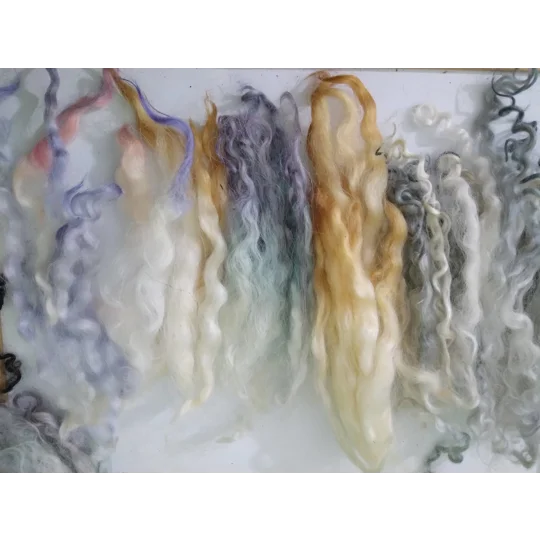Rainbow mix bumper 50g of locks and curls from mixed breeds of sheep