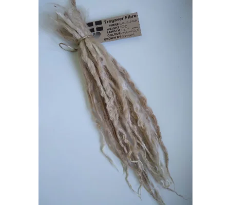 Suri Alpaca locks, 10g, caramel, 12" locks, undyed, washed.