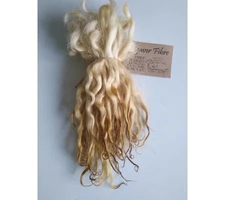 Toffee white faced dartmoor mini wool locks 3-6" 10g