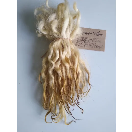 Toffee white faced dartmoor mini wool locks 3-6" 10g