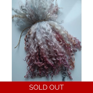 light blue rainbow teeswater curly wool locks, 28g