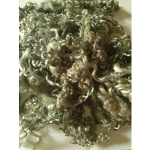 grey green silver curly wool 10g