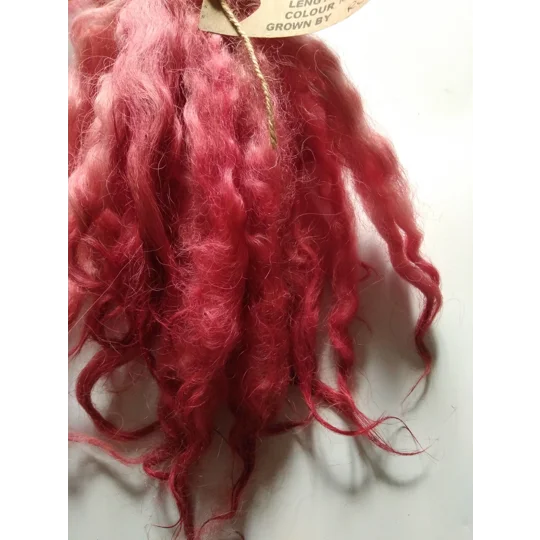 red and pink wavy wool locks, 6-9" texel x DevonCornwall longwool, 28g
