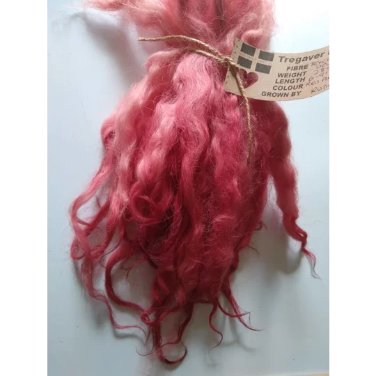 red and pink wavy wool locks, 6-9" texel x DevonCornwall longwool, 28g