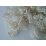 Natural undyed curly wool, 10g, Wensleydale lamb