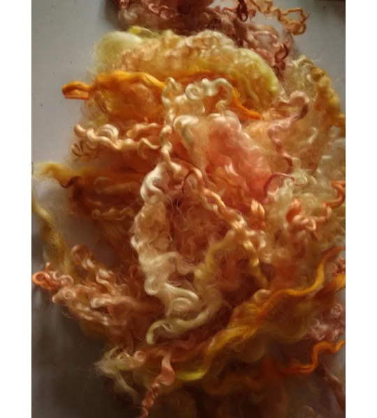 orange and yellow curly wool and wool locks, 10g, 6 breed mix