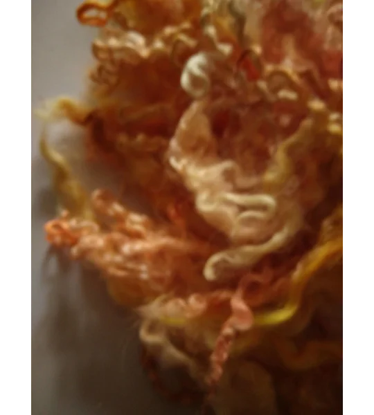 orange and yellow curly wool and wool locks, 10g, 6 breed mix
