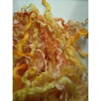 orange and yellow curly wool and wool locks, 10g, 6 breed mix