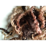 black and brown curly wool and wool locks, 10g, 6 breed mix