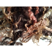 black and brown curly wool and wool locks, 10g, 6 breed mix