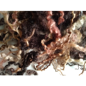 black and brown curly wool and wool locks, 10g, 6 breed mix