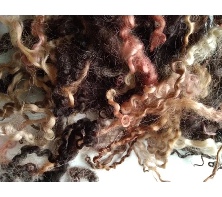 black and brown curly wool and wool locks, 10g, 6 breed mix