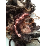black and brown curly wool and wool locks, 10g, 6 breed mix