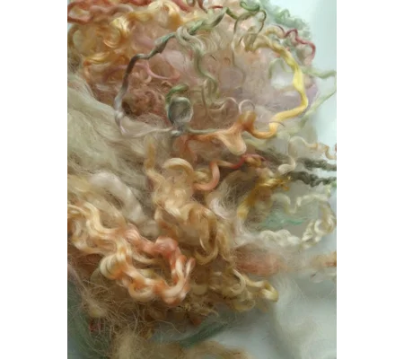 pastels curly wool and wool locks, 10g, 6 breed mix