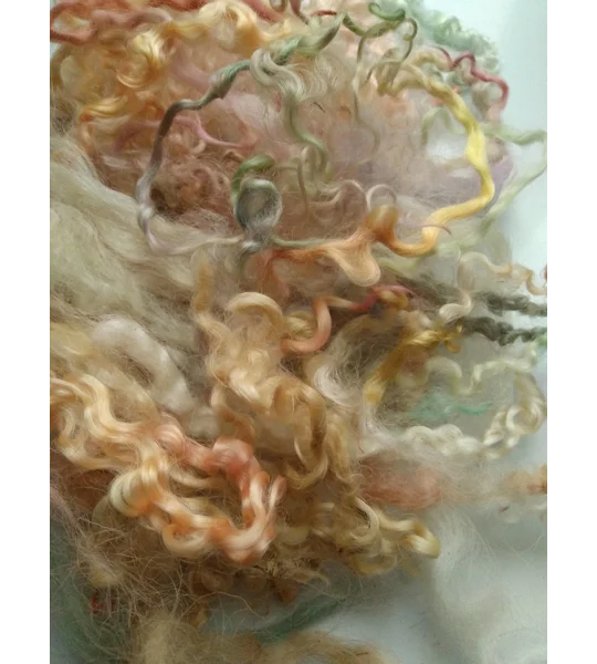 pastels curly wool and wool locks, 10g, 6 breed mix