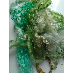 green curly wool and wool locks, 10g, 6 breed mix