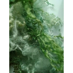 green curly wool and wool locks, 10g, 6 breed mix