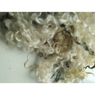 cream white and silver curly wool and wool locks, 10g, 6 breed mix