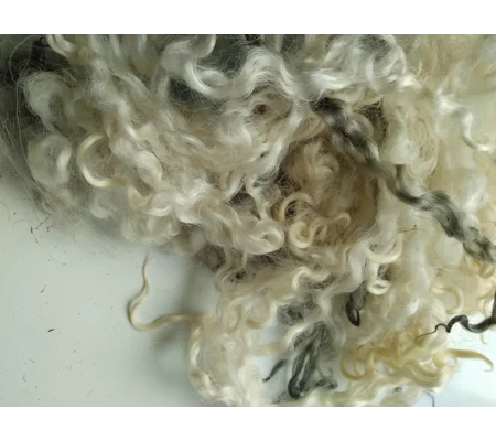 cream white and silver curly wool and wool locks, 10g, mixed breeds curly and wavy locks