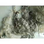 cream white and silver curly wool and wool locks, 10g, mixed breeds curly and wavy locks cream white and silver curly wool and wool locks, 10g, mixed breeds curly and wavy locks