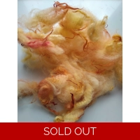 yellow orange and red perendale wool and locks 10g