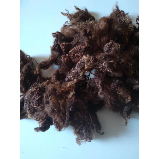 Coloured Blue Faced Leicester Lamb wool