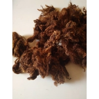 Coloured Blue Faced Leicester Lamb wool