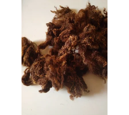 Coloured Blue Faced Leicester Lamb wool