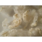 natural undyed Perendale lamb wool and locks 10g