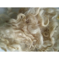 cream tan and gold loose curly wool 10g