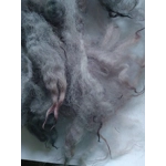 pink and grey perendale wool and locks 10g