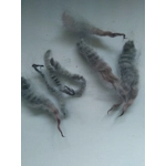 pink and grey perendale wool and locks 10g