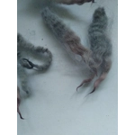 pink and grey perendale wool and locks 10g