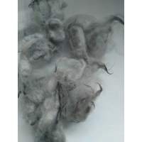 light grey perendale lamb wool and locks 10g