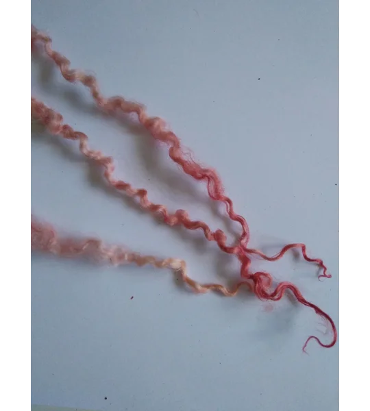 pink and golden peach teeswater wool and locks 10g