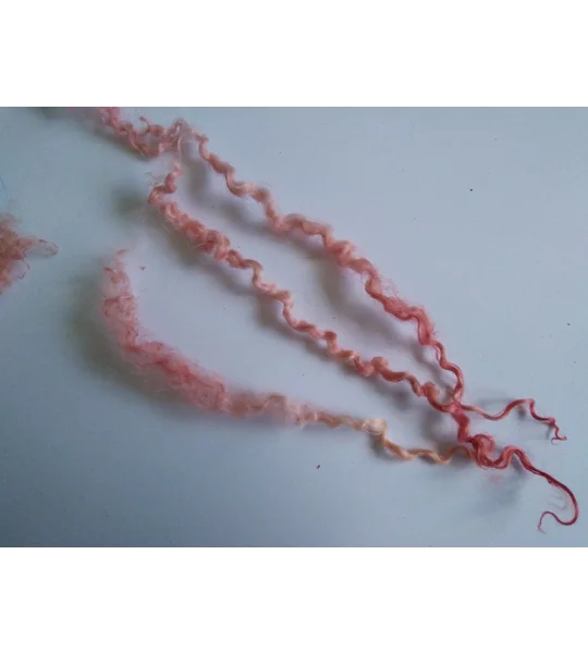 pink and golden peach teeswater wool and locks 10g