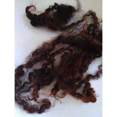 Black brown and Auburn Wensleydale Curly wool, 10g (v)