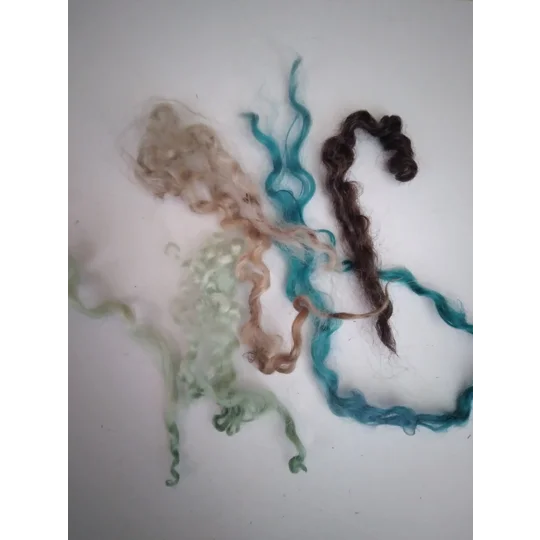 Rainbow mix, mixed breed curly wool sheep fibres for felting, mixed breeds