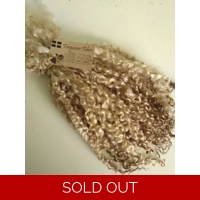 Light coffee brown and gold wool locks, 28g 14g or 7g
