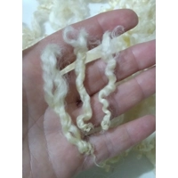 Natural undyed curly wool, 10g, Wensleydale lamb