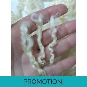 Natural undyed curly wool, 10g, Wensleydale lamb