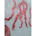 Red and pink Masham wool and locks 10g