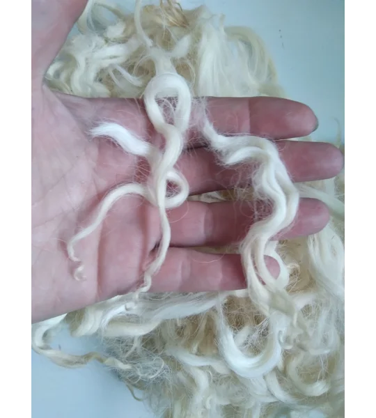 Natural wavy undyed wavy wool and locks