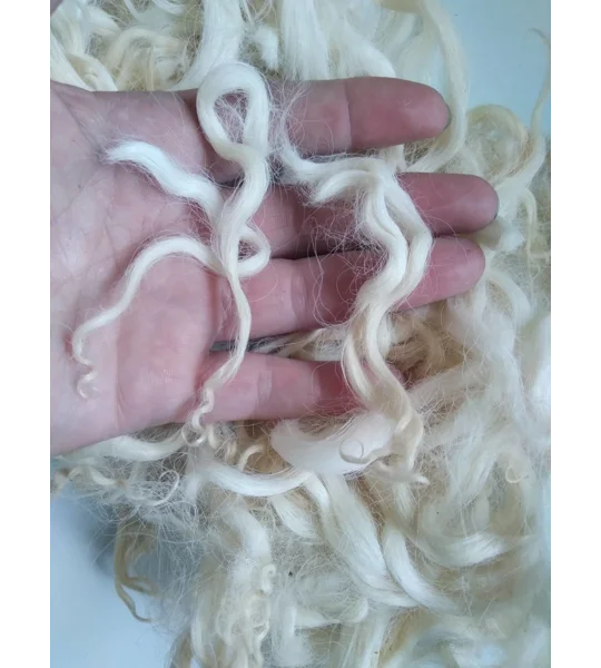 Natural wavy undyed wavy wool and locks