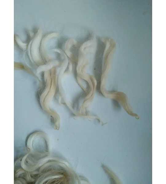 Natural wavy undyed wavy wool and locks